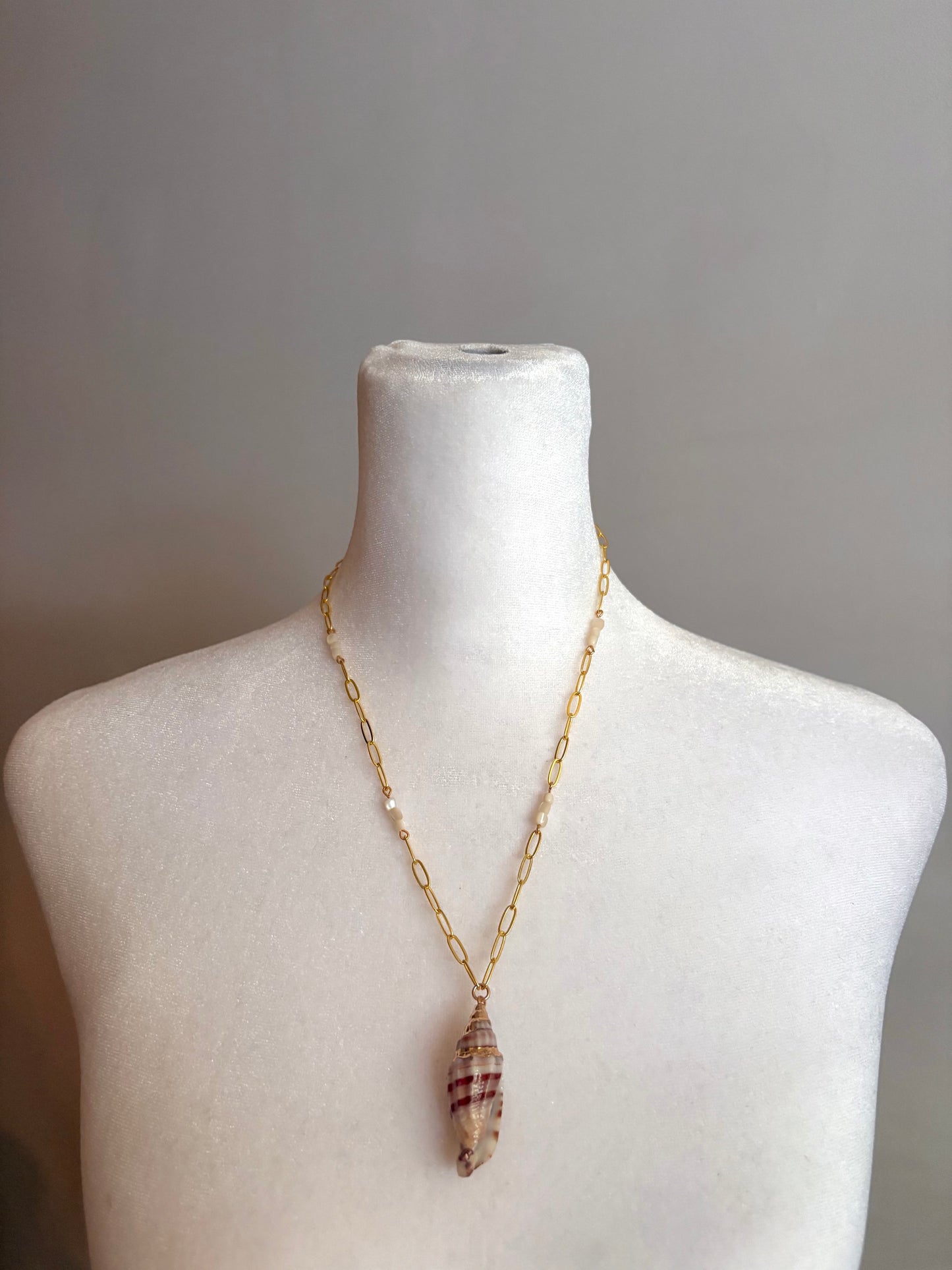 Long Seashell Gold Necklace on Paperclip Chain